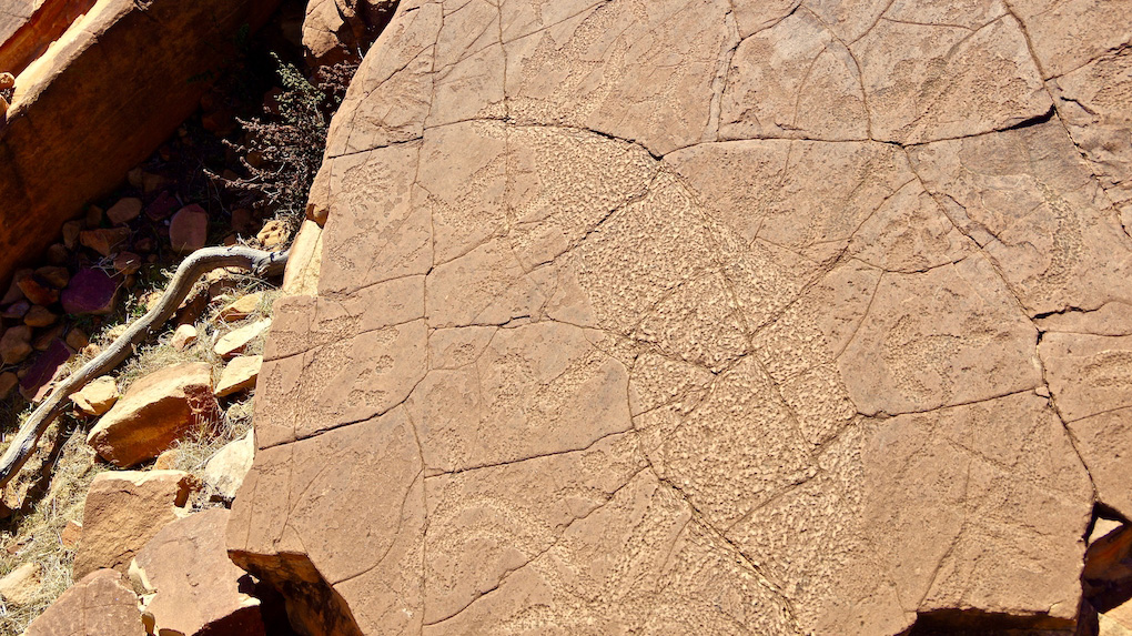 Broken Hill petroglyph of wallaby