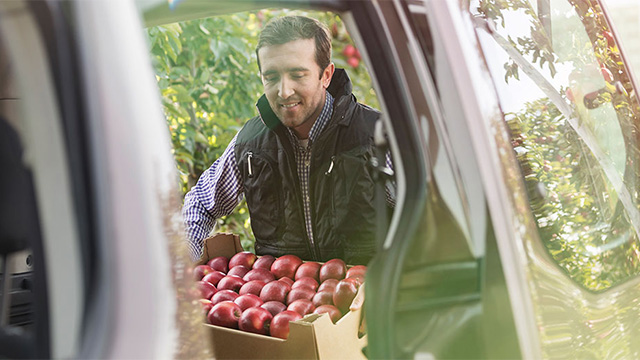 Men with Apples Business Motoring