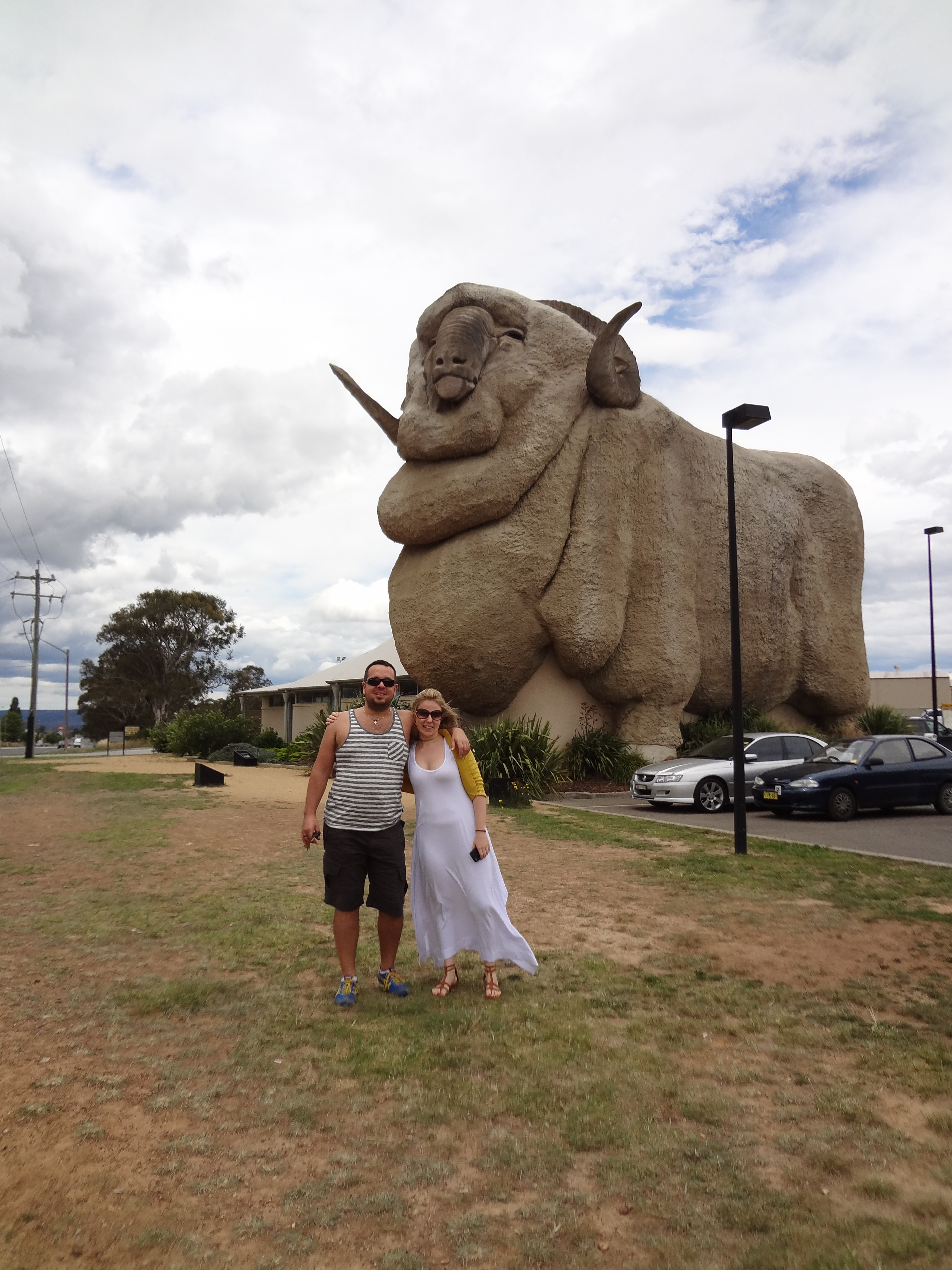 Carlita - Road Trip Tales - We met the Big Merino