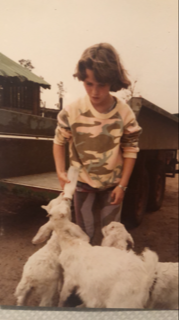 Feeding goats - Marion