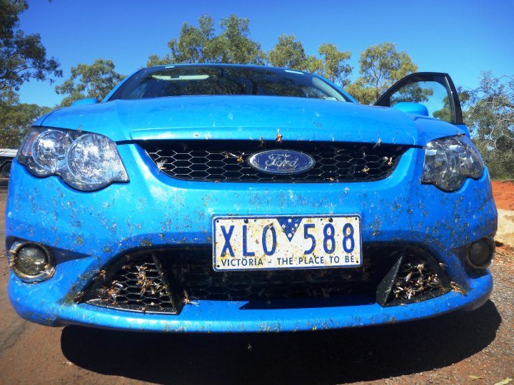 Michelle's road trip - The locust plagues started and stayed from Cobar to Broken Hill