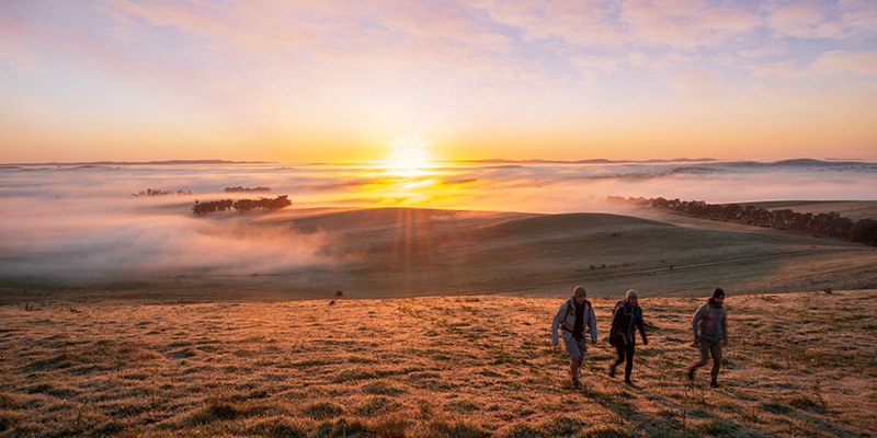 hikers on walking in Clare valley at sunrise