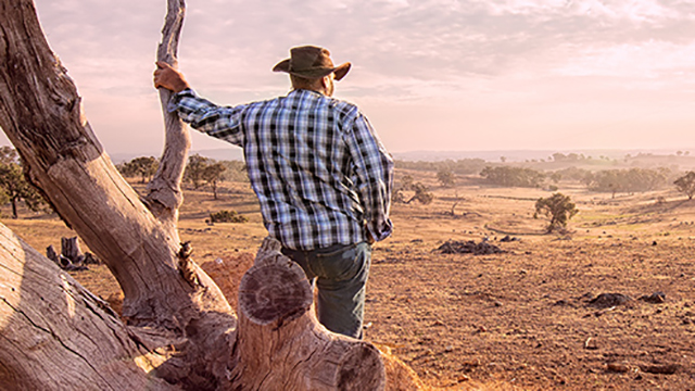 NRMA community support
