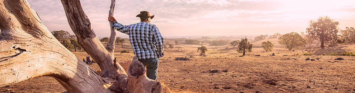 NRMA community support