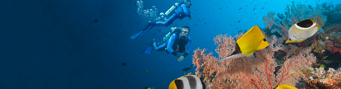 CS-294-WaterSport-Desktop-1140x300px