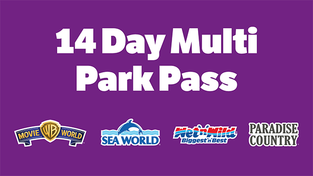 14 day theme park pass