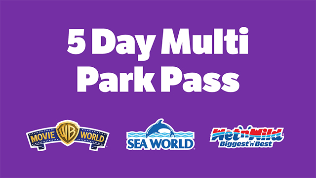 5 day theme park pass
