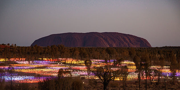 Field of lights - Uluru