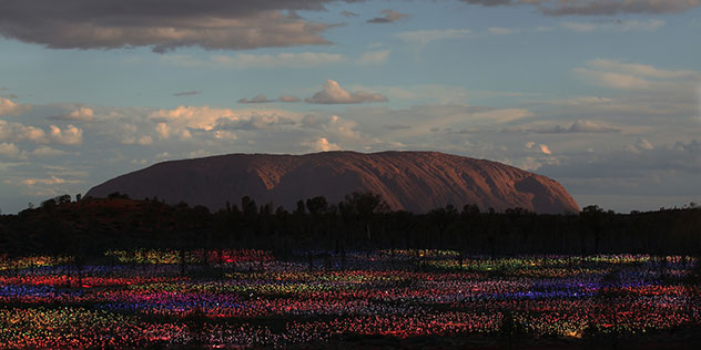Field of lights - Uluru - dusk