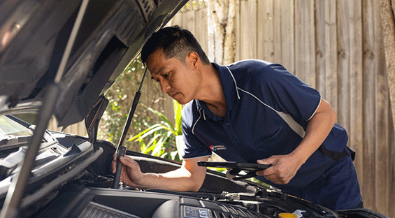 Mobile Vehicle Inspection