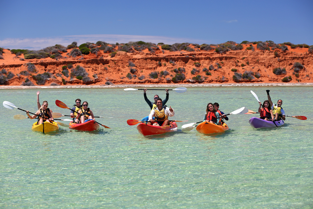 Kayak and Wildlife Adventure - Shark Bay