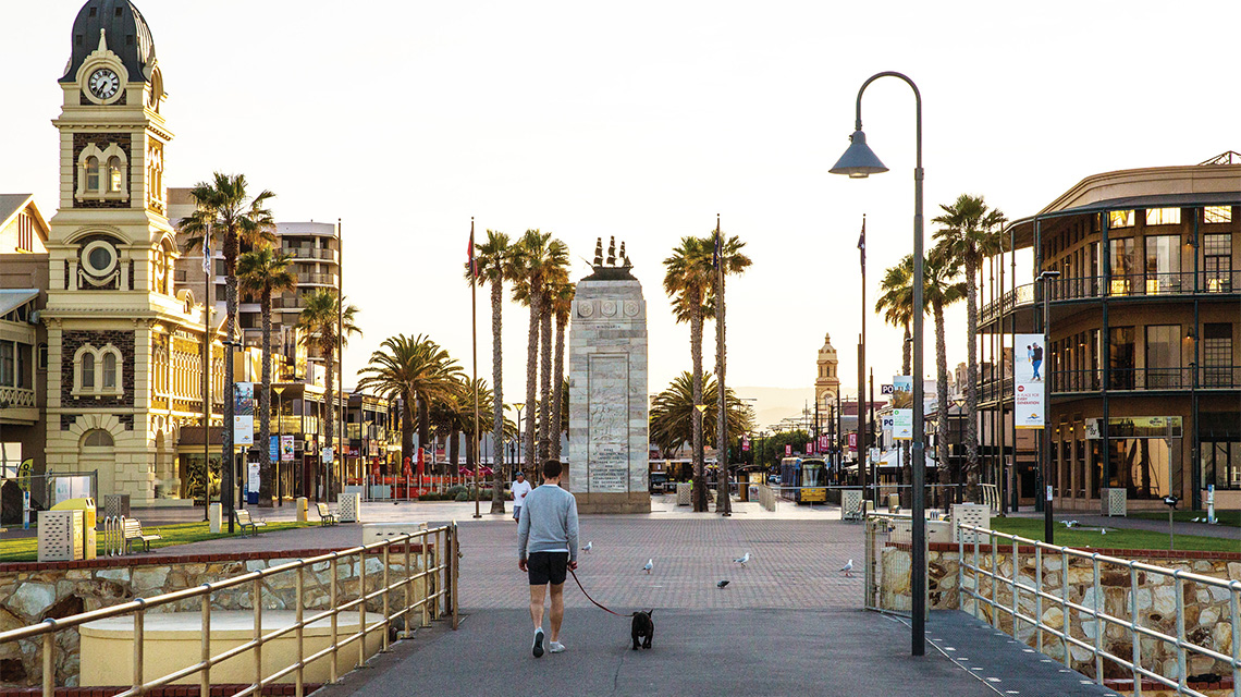 Man walking dog Adelaide my nrma locals guide