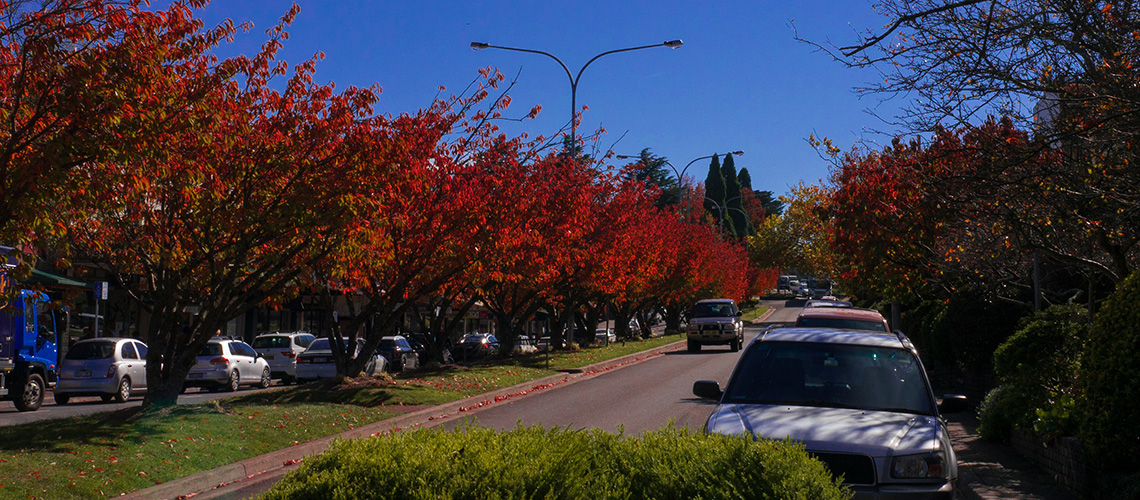 Leura_LocalsGuide
