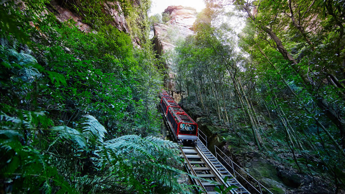 Lyrebird_Pass