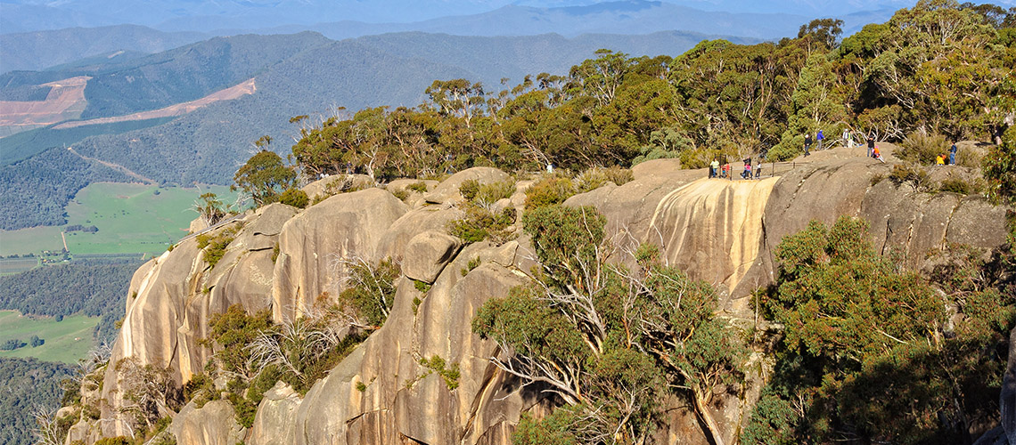 Mount Buffalo Bright my nrma local guides
