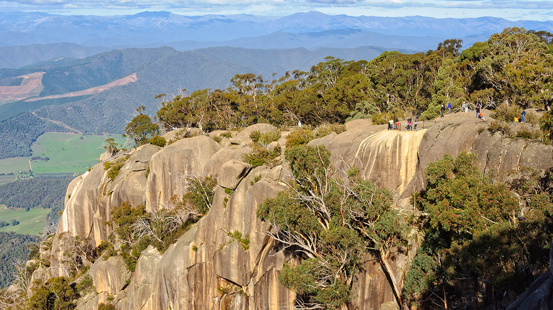 Mount Buffalo Bright my nrma local guides