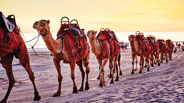 Cable Beach Broome my nrma locals guide