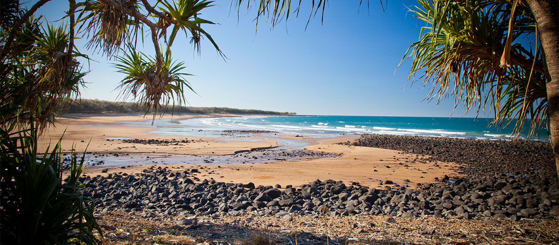 Bundaberg Bundaberg QLD my nrma local guides