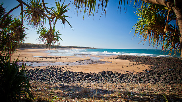 Bundaberg Bundaberg QLD my nrma local guides