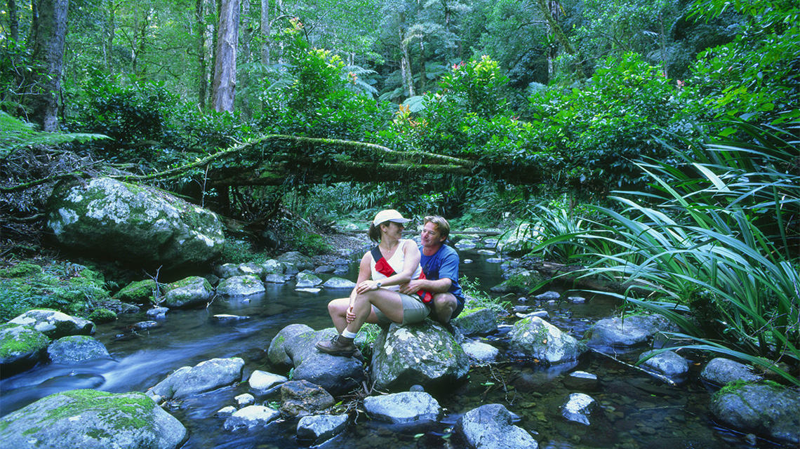 Border Ranges Byron Bay my nrma locals guide