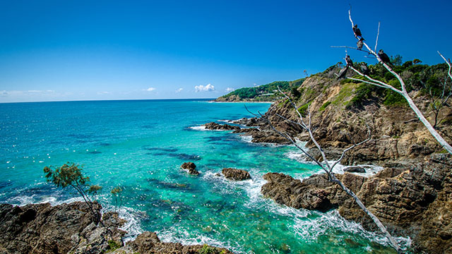 Byron Bay Byron Bay NSW my nrma locals guide