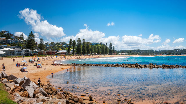 Avoca Beach Central NSW my nrma local guides