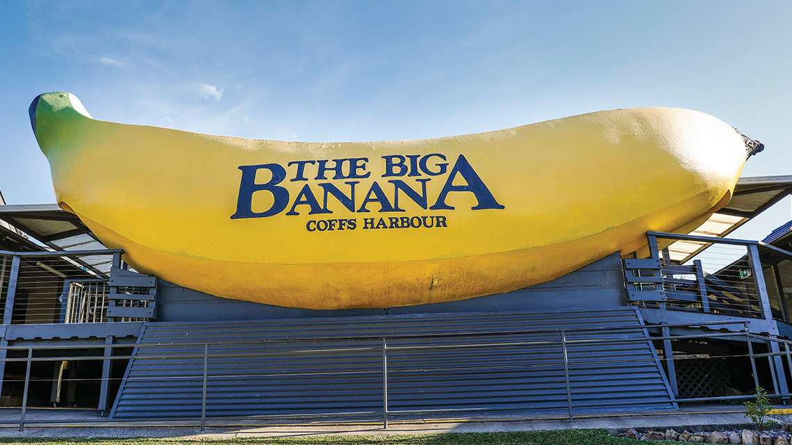 big banana
