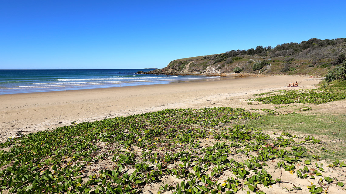 coffs harbour