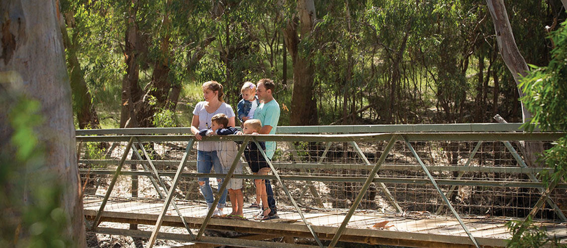 Family Island Sanctuary Deniliquin my nrma local guides