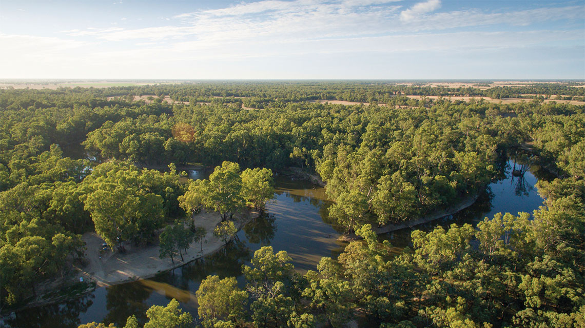 Edward River Deniliquin my nrma local guides