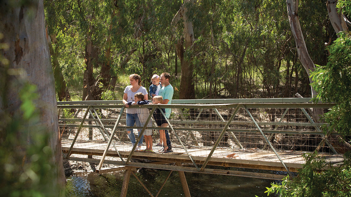 Family Island Sanctuary Deniliquin my nrma local guides