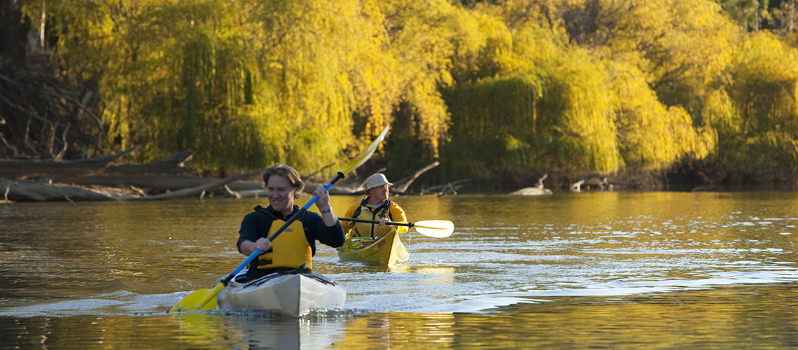 Kayaking Echuca Moama Region my nrma locals guide