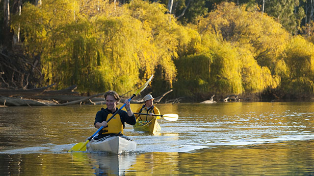 Kayaking Echuca Moama Region my nrma locals guide