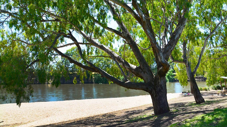 Wagga Beach