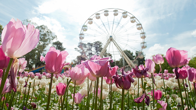 Floriade 2018 - http://www.floriadeaustralia.com Floriade 2018
