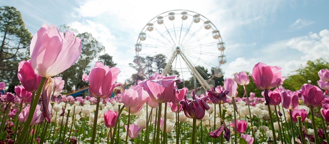 Floriade 2018 - http://www.floriadeaustralia.com Floriade 2018