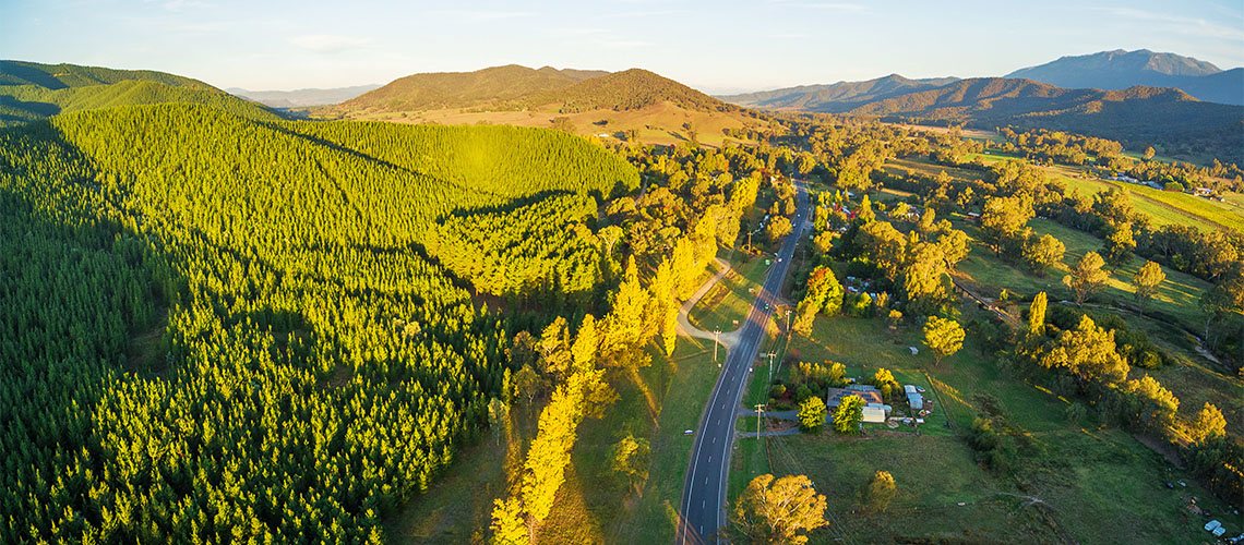 Great Alpine Road Gippsland VIC my nrma local guides