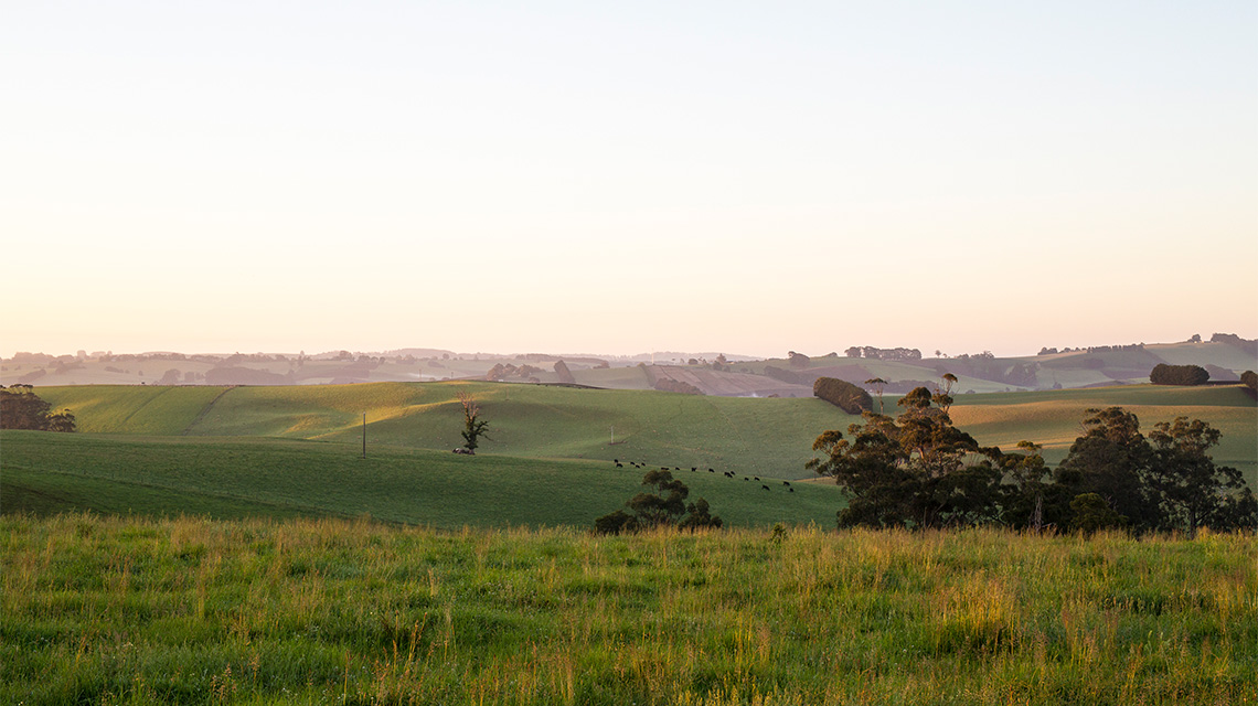 Mirboo North Gippsland my nrma locals guide