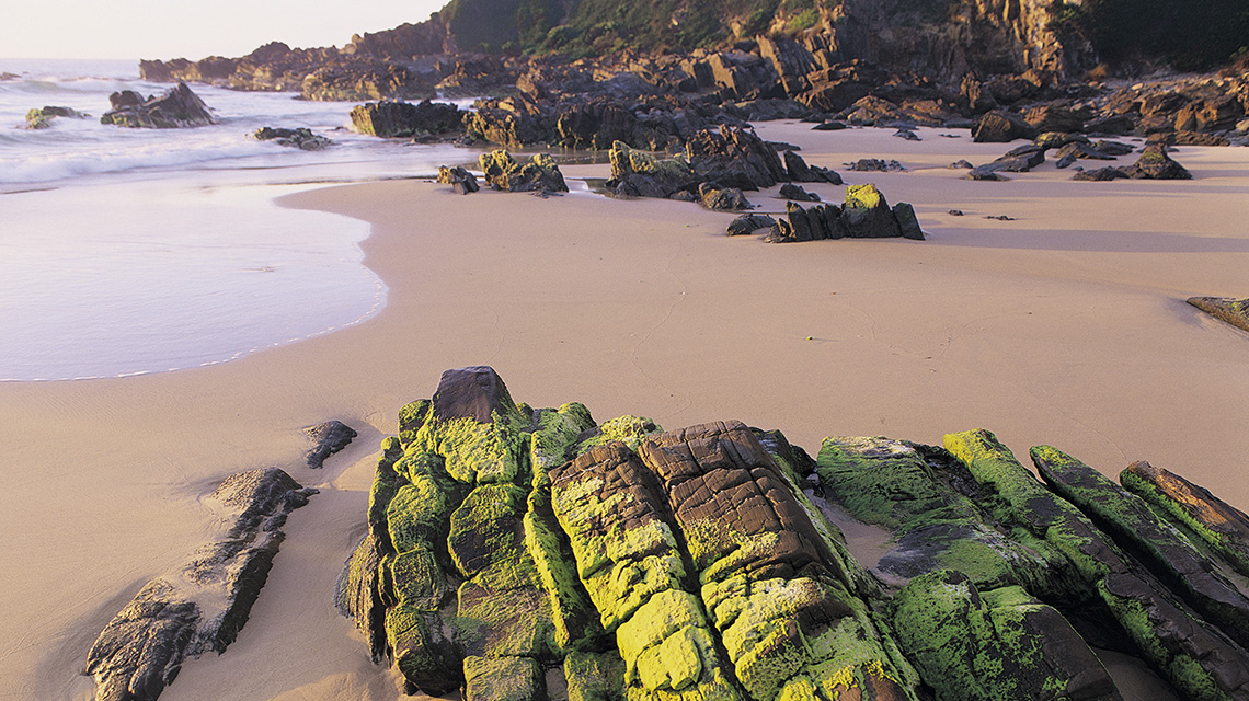 Shipwreck Creek Gippsland my nrma locals guide