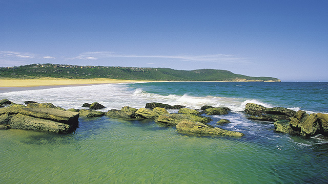 Bouddi National Park Killcare my nrma locals guide