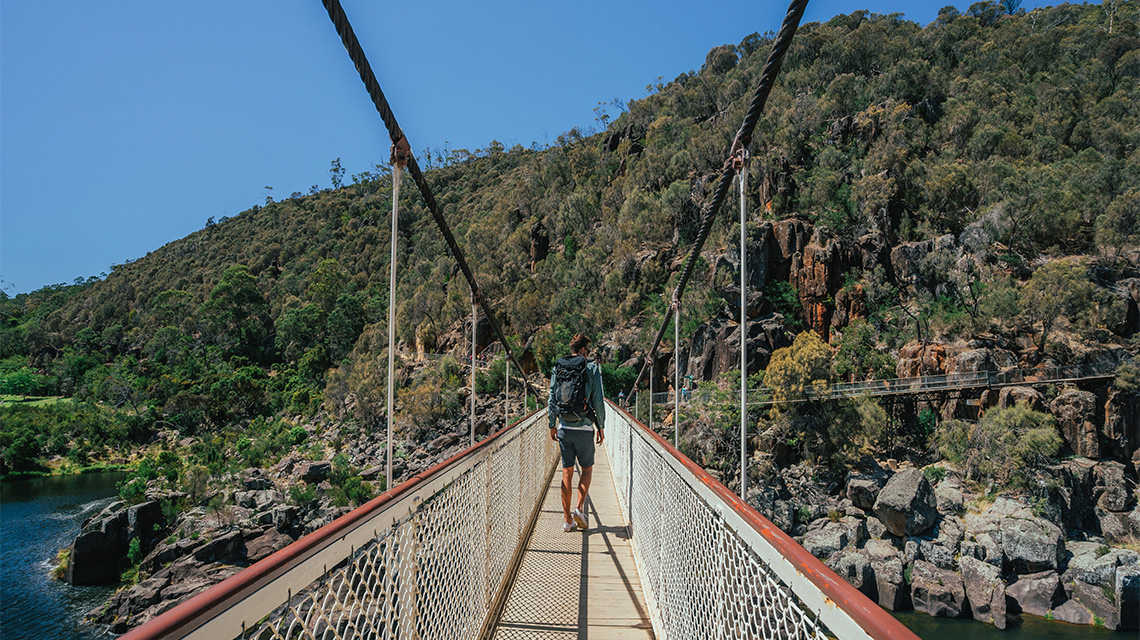 Bridge Walk Launceston my nrma locals guide