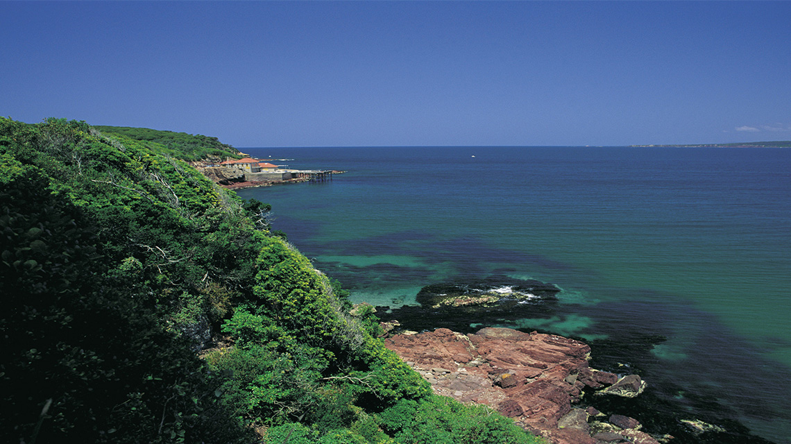 Sapphire Coast Merimbula my nrma local guides