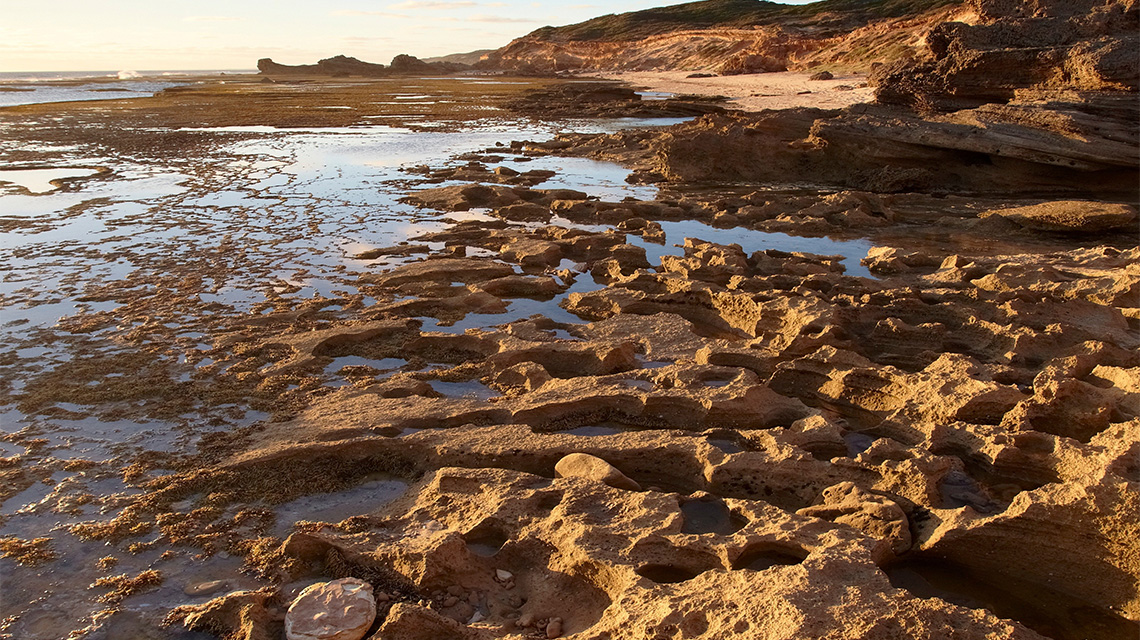 Rocks Mornington Peninsula my nrma locals guide