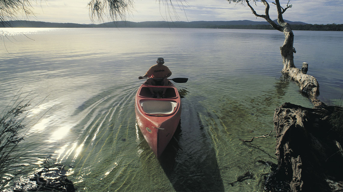 Kayaking Myall Lakes my nrma local guides