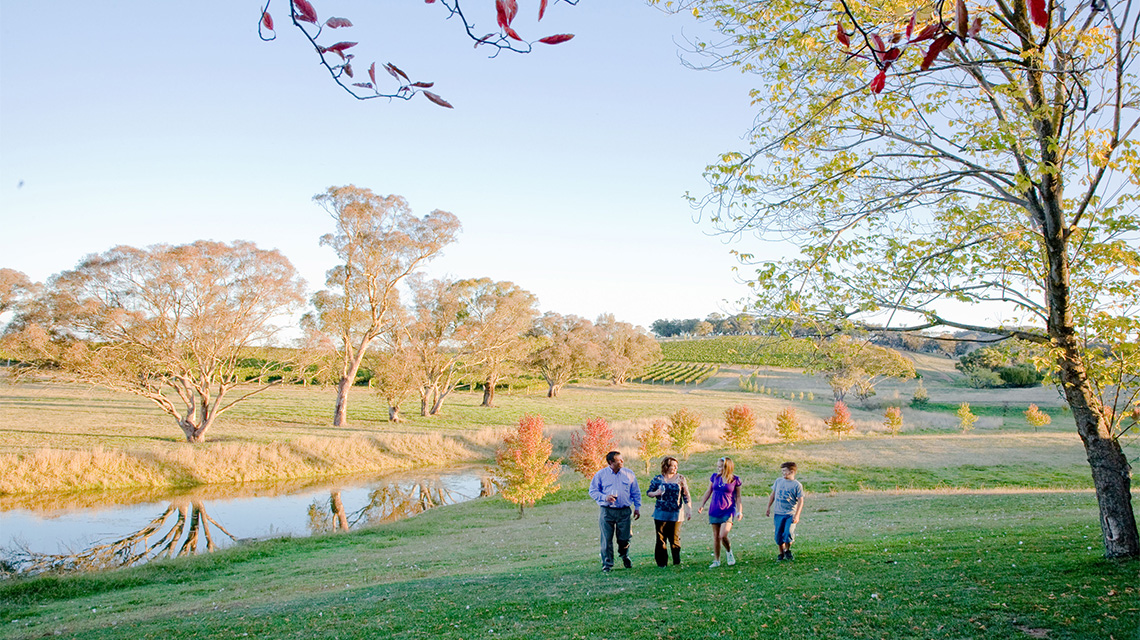 Mayfield Vineyard Orange my nrma locals guide