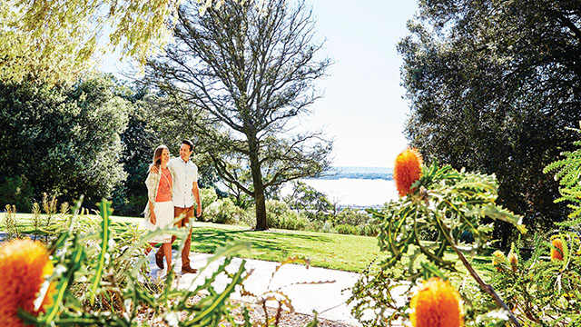 Botanical Garden Perth Rottnest WA my nrma locals guides