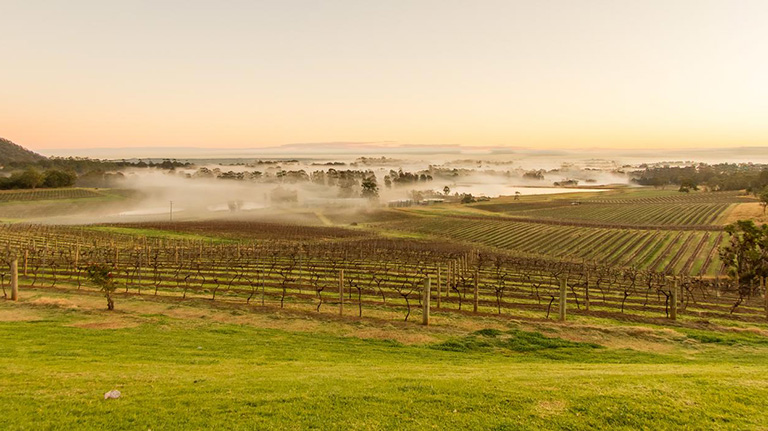 AudreyWilkinsonWinery