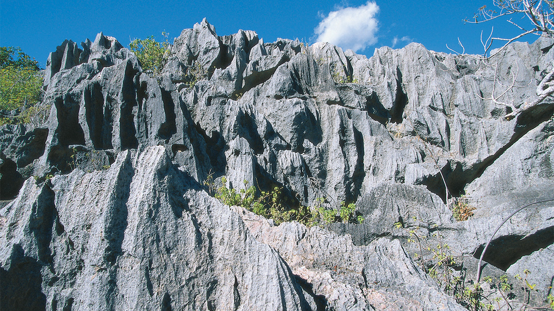 Capricorn Caves Rockhampton QLD my nrma local guides