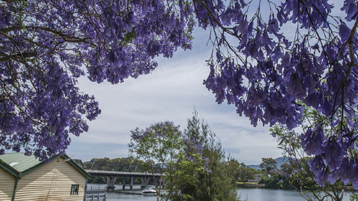 Shoalhaven River
