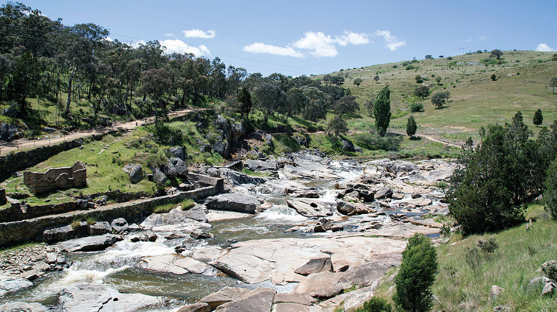 Adelong Snowy Mountains my nrma local guides
